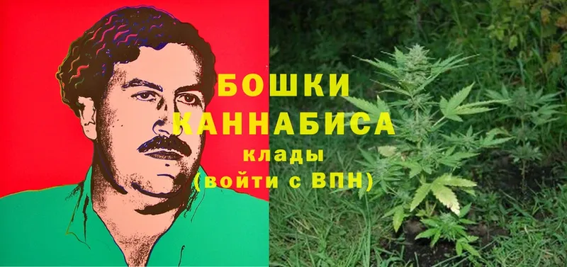 закладка  Суоярви  Бошки марихуана THC 21% 